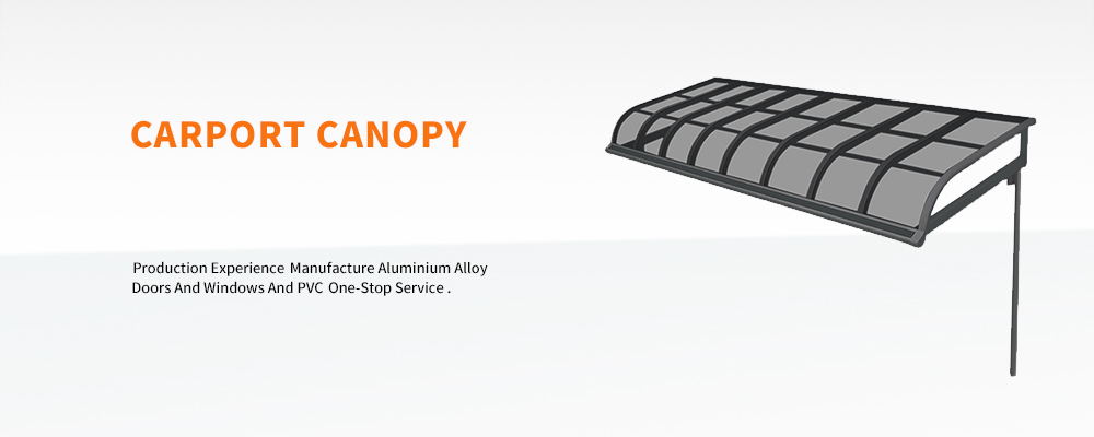 Carport Canopy product detail images (1)