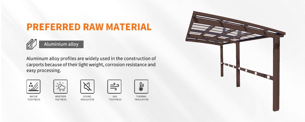 Carport Canopy product detail images (3)